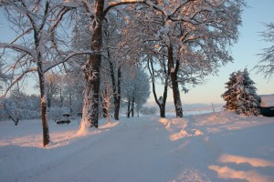IMG_4646