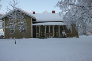 IMG_4649