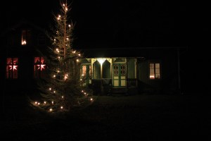 IMG_0502
